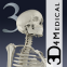 Essential Skeleton 3