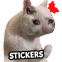 재미있는 고양이 밈 스티커 WAStickerApps