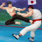 Tag Team Karate Fighting Games: PRO Kung Fu Master