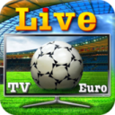 Calcio in diretta TV Euro Icon