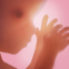 임신 + | 3D로 제공하는 주별 추적 앱