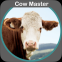 CowMaster - Gestión de rebaños