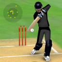 Smashing Cricket: cricket game Icon
